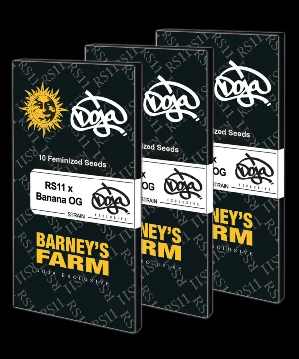 RS11 X BANANA OG – Bild 4