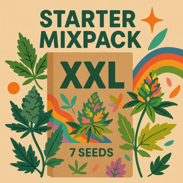 Starter Mixpack XXL